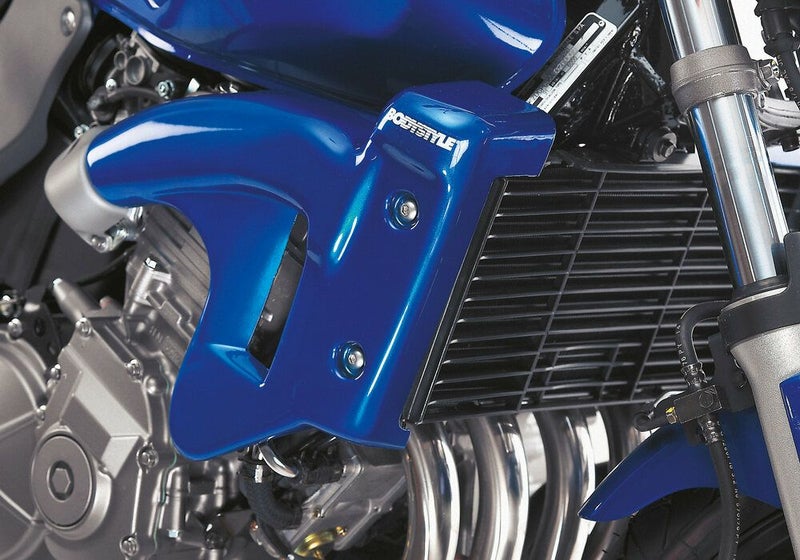 HONDA CB900 Hornet (2002-2005) ラジエーターサイドカバー 未塗装 BODYSTYLE_1