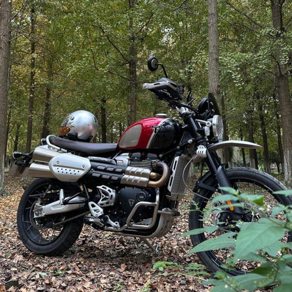 トライアンフ スクランブラー1200X/XC/XE  アルミアップフェンダー モデル2 53cm  REMMOTORCYCLE_1