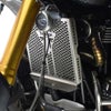 トライアンフ スクランブラー1200XC/XE ラジエーターグリルガード ポリッシュ REMMOTORCYCLE_2