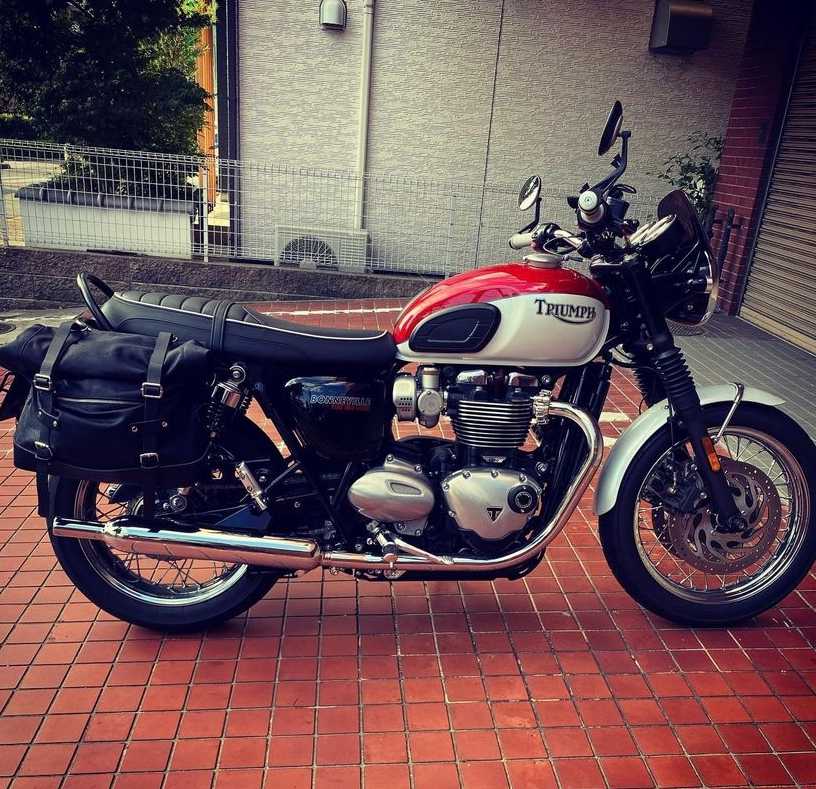 トライアンフ 水冷 T120 (グラブバー装着車両用) サドルバックステー