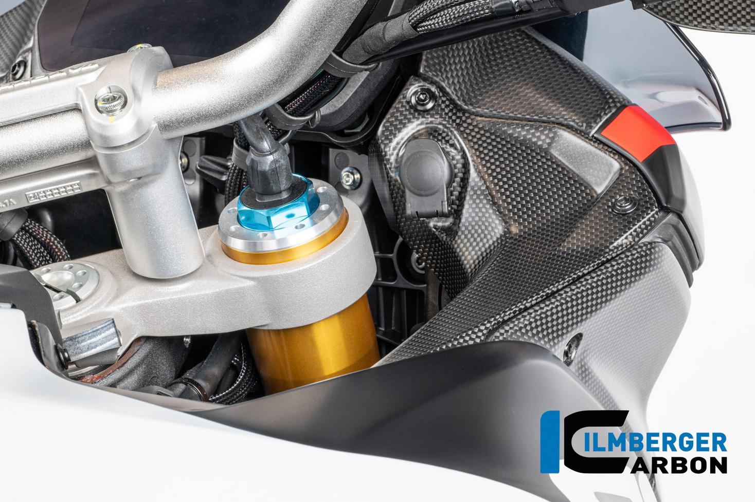 DUCATI ムルティストラーダV4 リアフェンダー/リアフェンダー カーボン