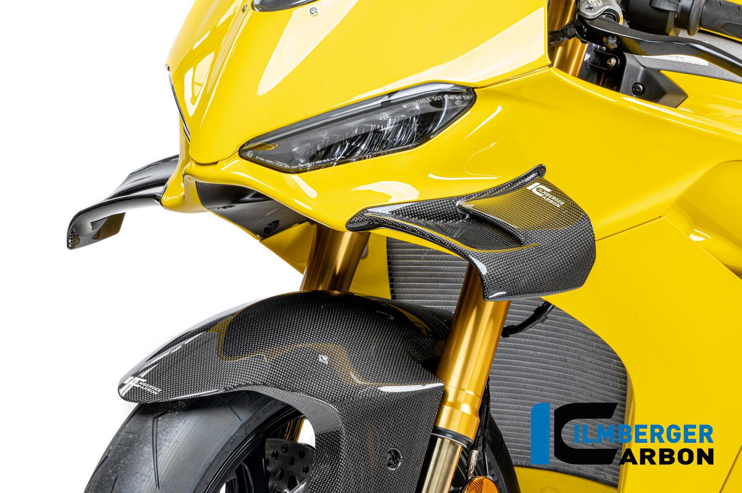 DUCATI パニガーレV4/V4S/V4R 25- カーボンウイングレット グロス仕様