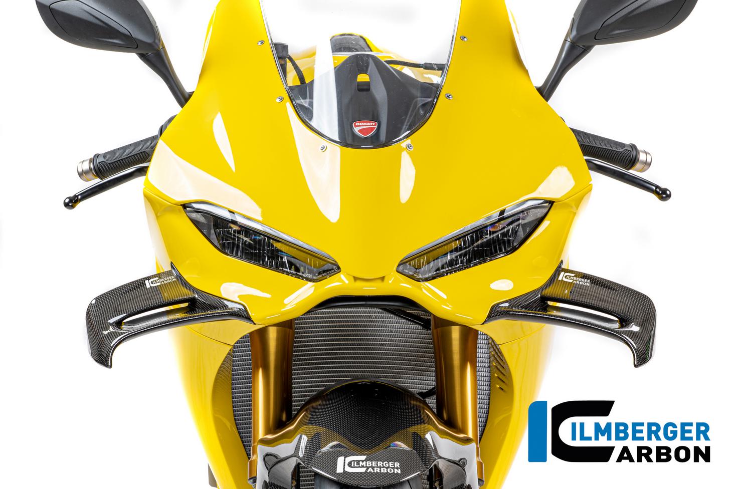 DUCATI パニガーレV4/V4S/V4R 25- カーボンウイングレット グロス仕様