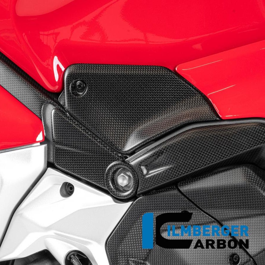 DUCATI パニガーレV4/V4S/V4R／ストリートファイターV4 25- カーボン