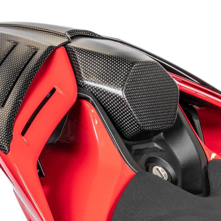 DUCATI パニガーレV4/V4S/V4R／ストリートファイターV4 25- カーボン