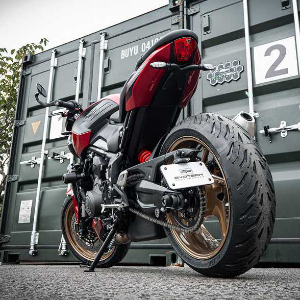 Triumph トライデント660/800 (26-) スイングアームマウントフェンダーレスキット Evotech Performance_2