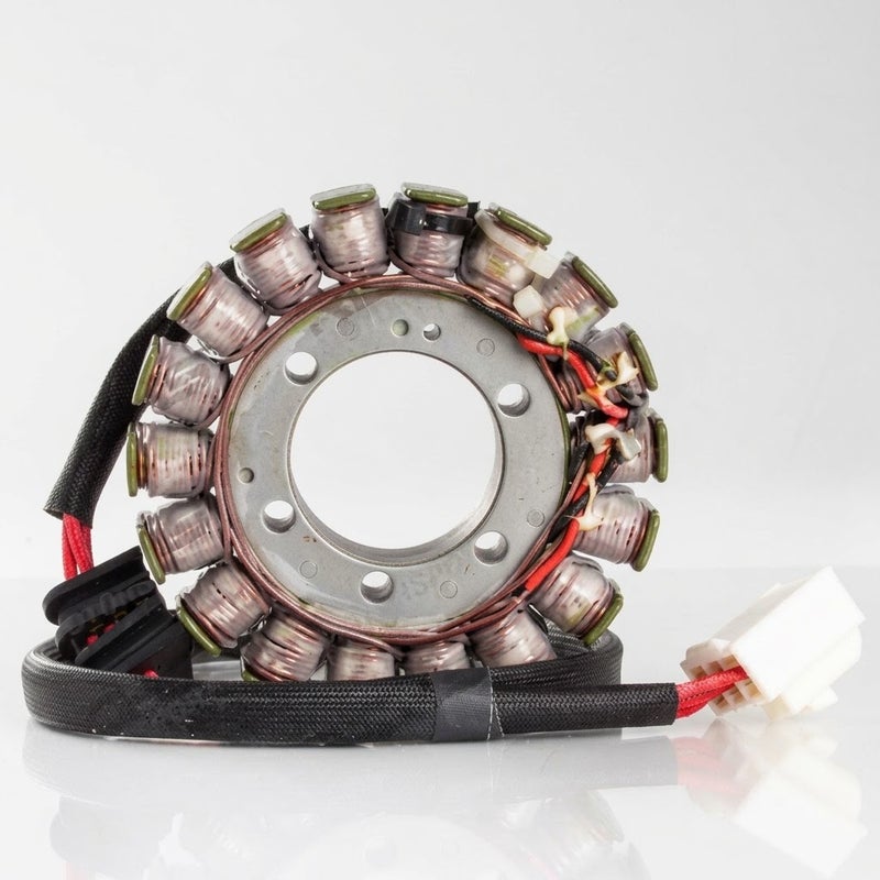 Honda VFR800 (00-02) OEMスタイル ステーター Rick's Motorsport Electrics_1